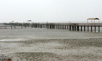 冯骥确认XSS是导致《黑神话：悟空》Xbox延期的主因